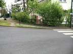 IMG 0219