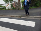 IMG 0220